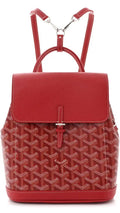 Goyard backpack