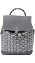 Goyard backpack