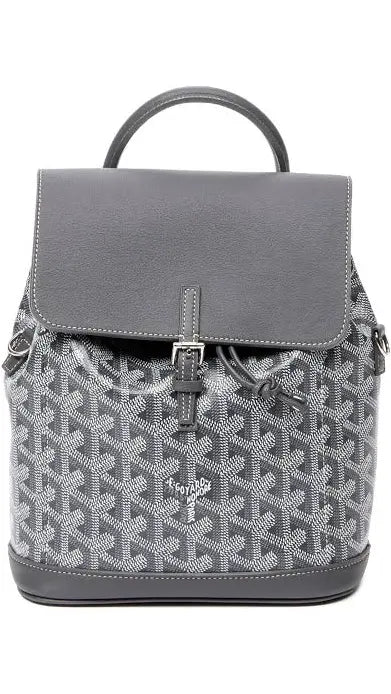 Goyard backpack