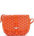 Goyard bag