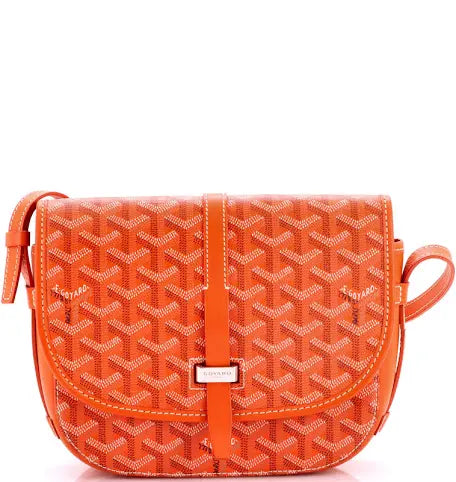 Goyard bag