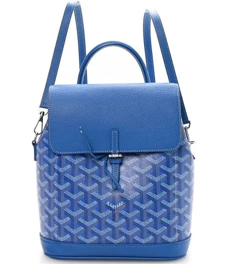 Goyard backpack